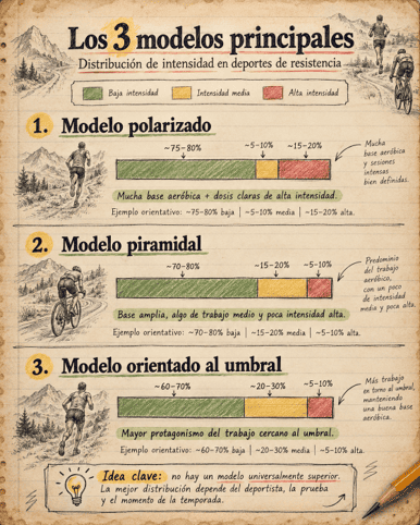 Modelos de intensidad de entrenamiento